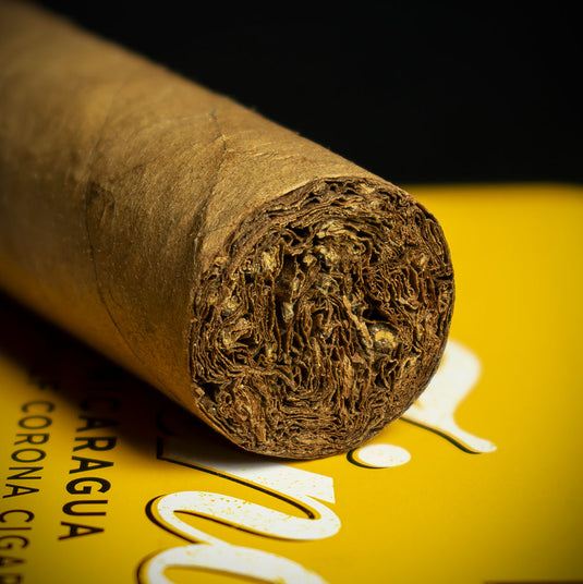 Zino Nicaragua Half Corona Cigars - Tin of 5