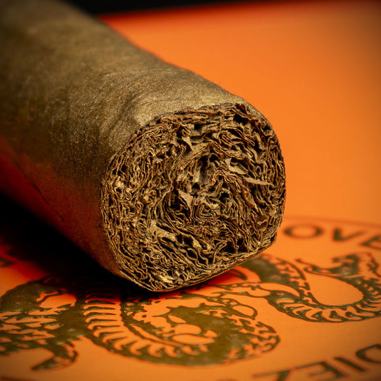 Casa 1910 Revolutionary Edition - Cuchillo Parado Robusto Cigar - Single