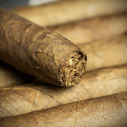 Pack of 12 - Smoke-King Dutch Senoritas Cigars