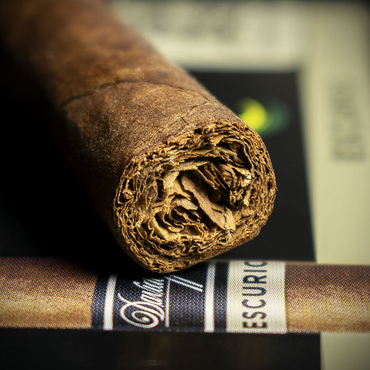 Single - Davidoff  Primeros Escurio Cigar