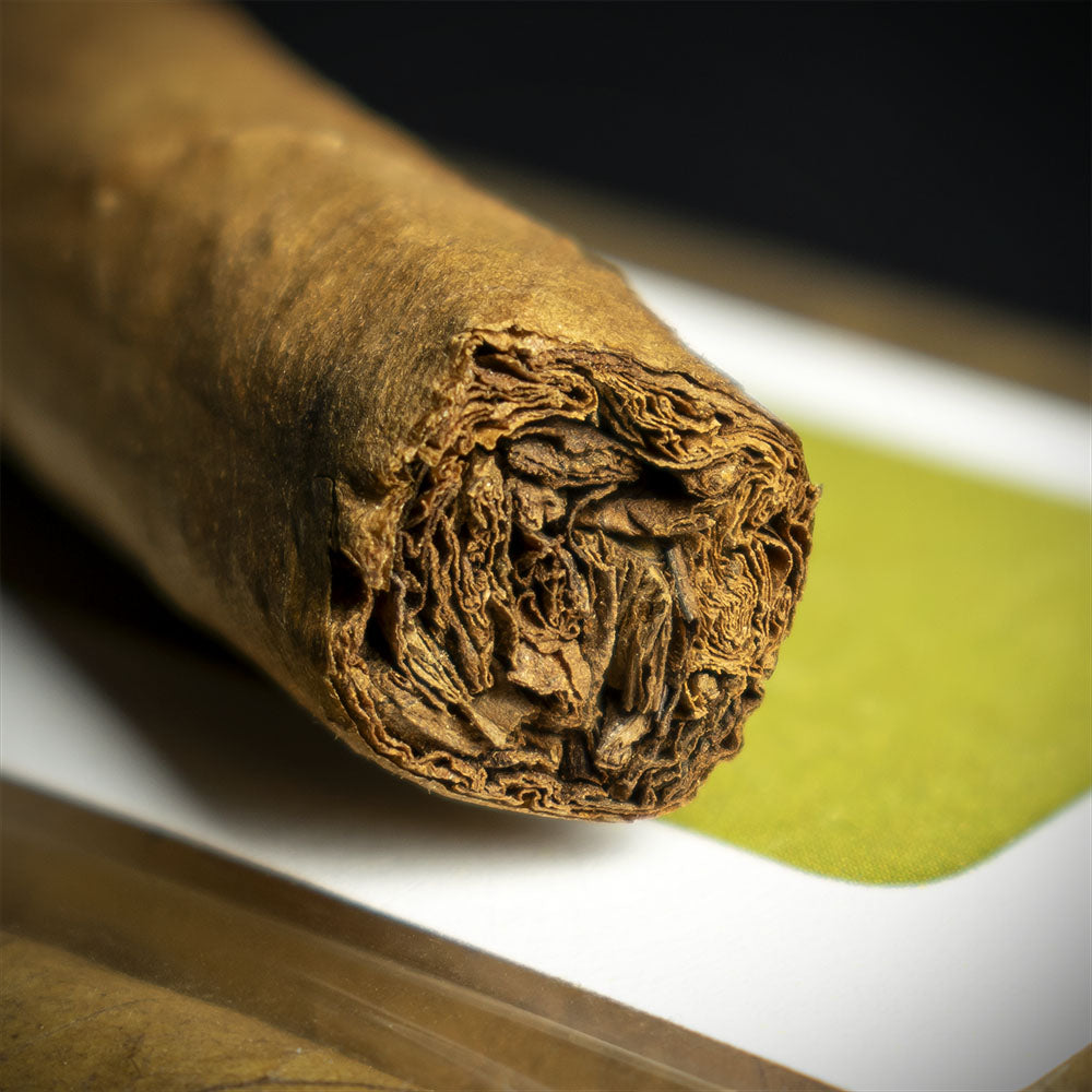 La Invicta Honduran Panatela Cigar - Single - Smoke-King