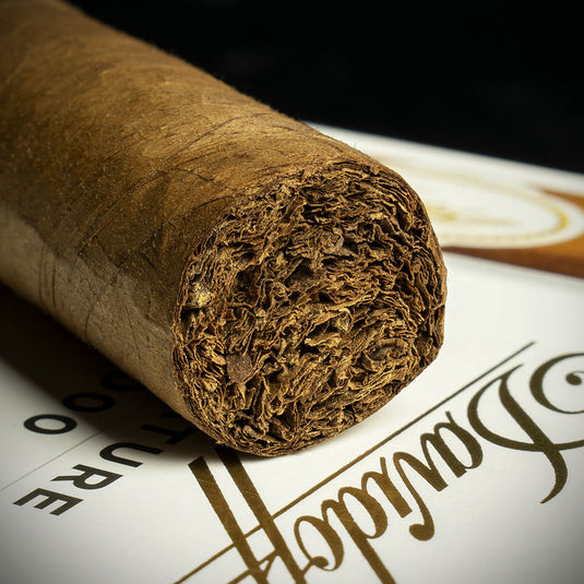  Single - Davidoff Signature 6000 Robusto Cigar