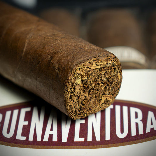 Curivari Buenaventura Picadores 50 Robusto Cigar - Bundle of 10