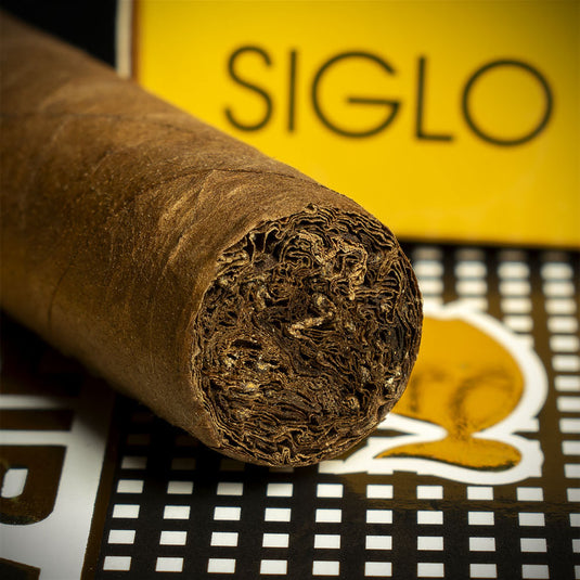 Cohiba Siglo II Cuban Cigars - 5 Pack