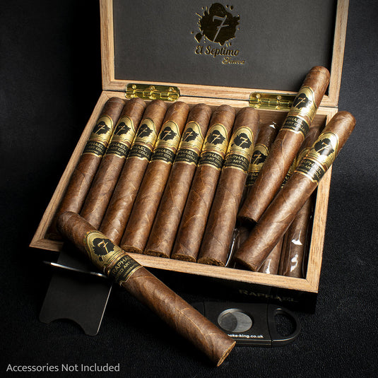 El Septimo Sacred Arts Raphael Robusto Extra Cigar - Single