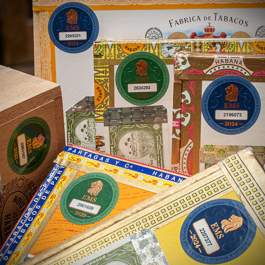 Cuban Robusto Havana Cigar Sampler - Box of 6