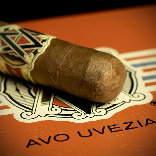 AVO XO Notturno Petit Corona Cigar - Single