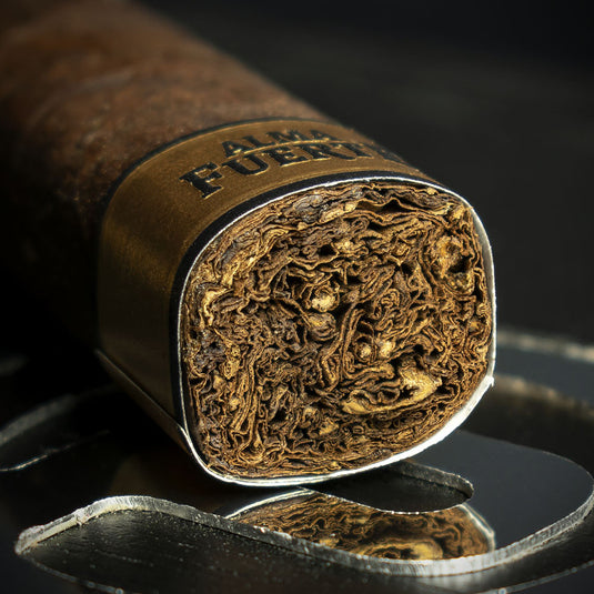 Plascencia Alma Fuerte Box Pressed Robusto I Cigar - Single 