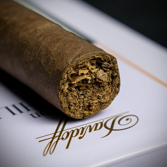 Single - Davidoff Winston Churchill The Raconteur Petit Panatela Cigar 