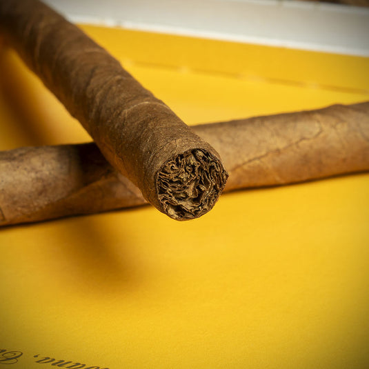 Single - Cohiba Cub Cuban Cigar