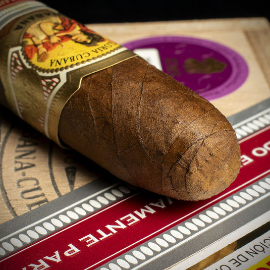 La Gloria Cubana Británicas  Extra Cuban Cigar (UK Regional Edition - 2017) - Single