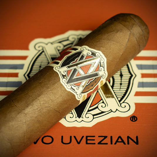 AVO XOIntermzzo Robusto Cigar - Single