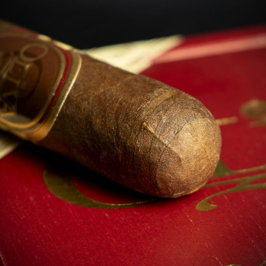 Oliva Serie V Double Robusto Cigars - Box of 24