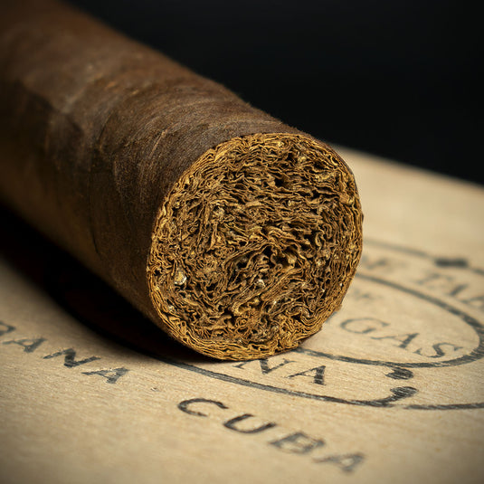 Partagas Maduro No.1 Cuban Cigar - Single