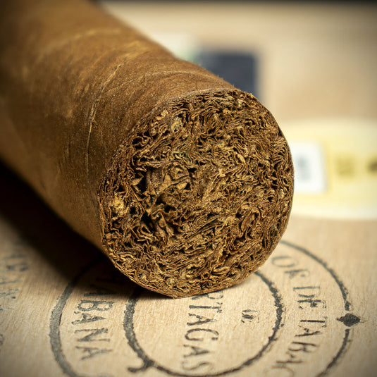 Partagas Serie D No. 5 Cuban Cigars - Box of 10