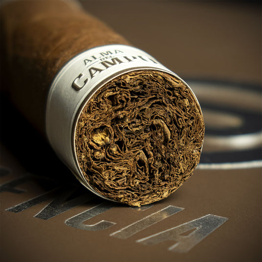 Plasencia Alma del Campo Robusto Cigar - Single