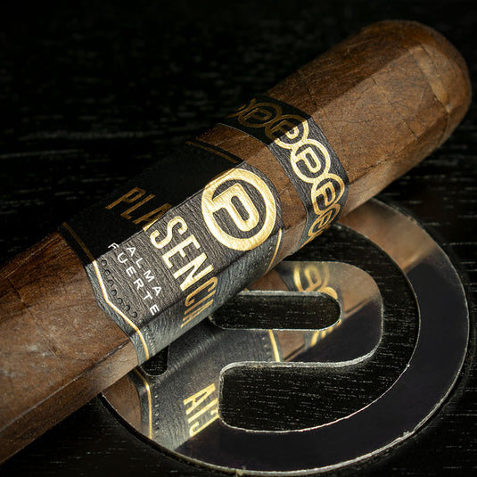 Plasencia Alma Fuerte Sixto II Hexagono Cigars - Box of 10