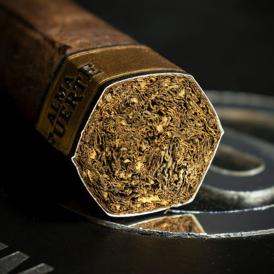 Plasencia Alma Fuerte Sixto II Hexagono Cigars - Box of 10