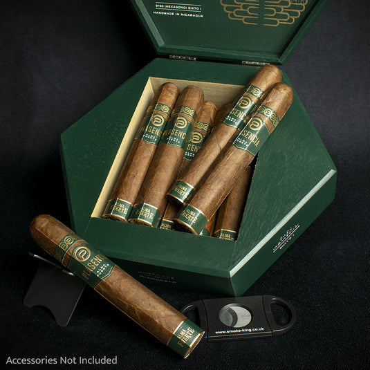 Plasencia Alma Fuerte Sixto l Hexagono Cigar - Single