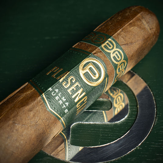 Plasencia Alma Fuerte Sixto l Hexagono Cigar - Single