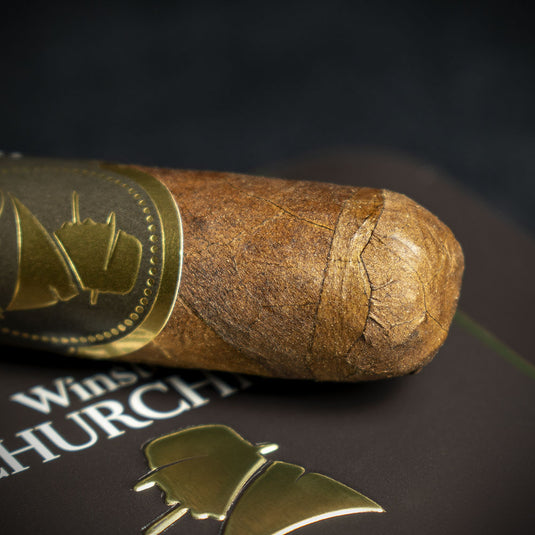  Single - Davidoff Winston Churchill The Late Hour Petit Panatela Cigar