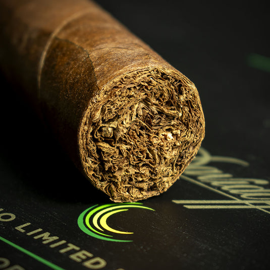 Single - Davidoff Escurio 10th Anniversary Limited Edition Gran Toro Cigar