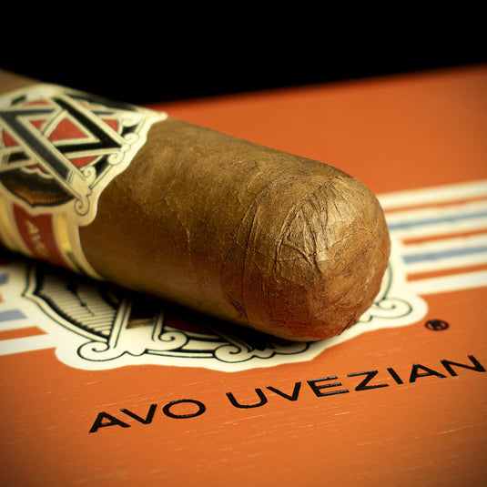 AVO XO Legato Toro Cigar - Single